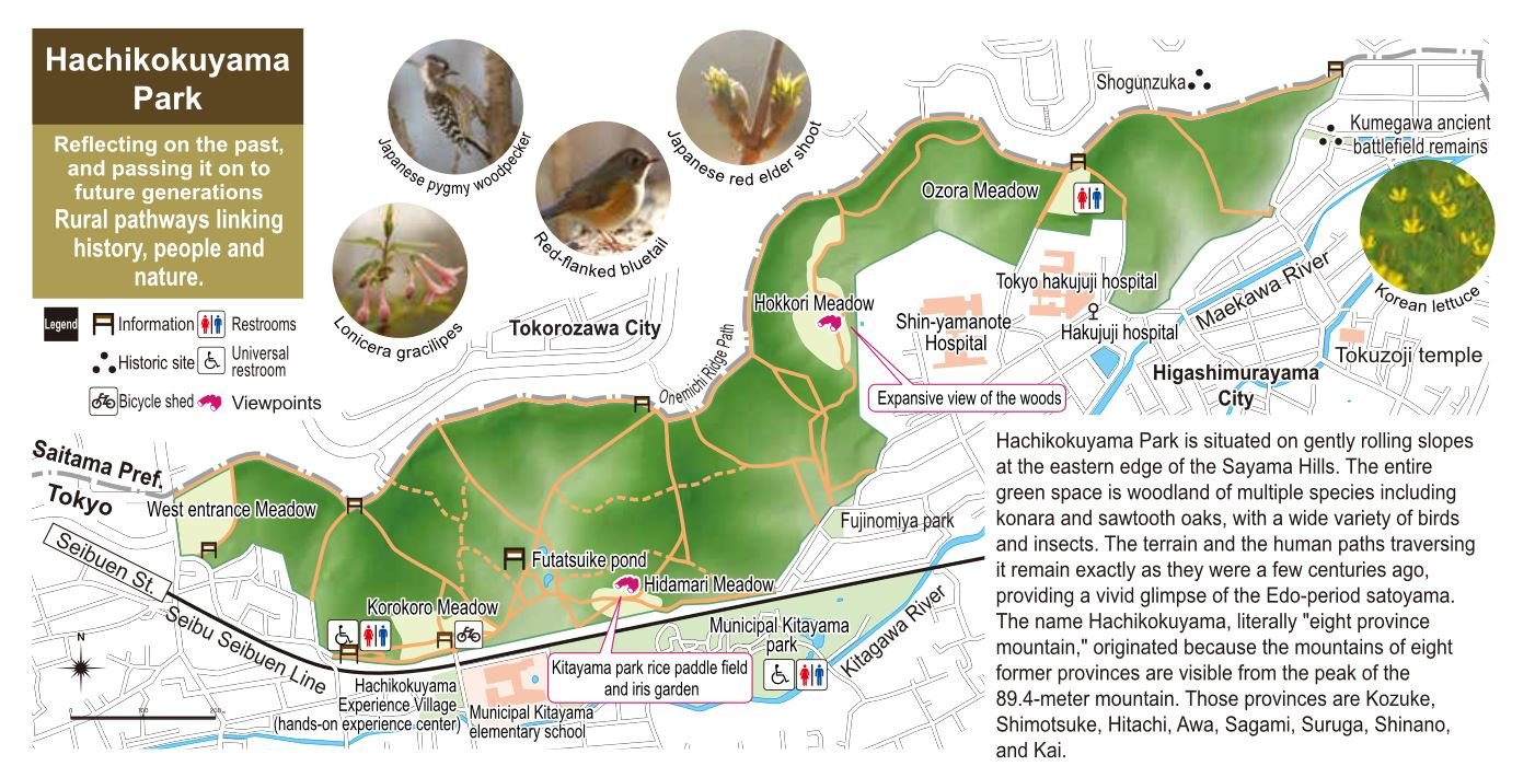 🌳 하치코쿠야마 녹지(八国山緑地) 이미지 7